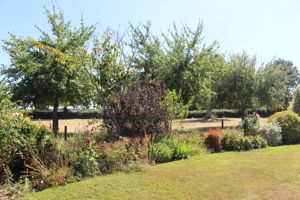 Photo 31- click for photo gallery